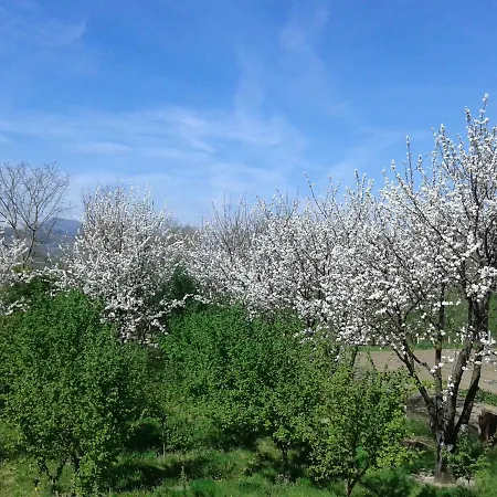 Rugiada * San Michele di Serino
